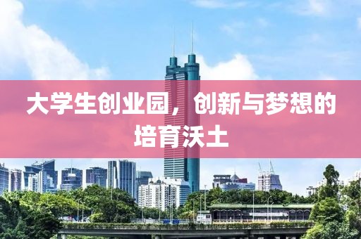 大学生创业园，创新与梦想的培育沃土