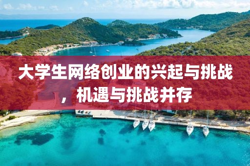 大学生网络创业的兴起与挑战，机遇与挑战并存