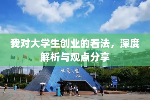 我对大学生创业的看法，深度解析与观点分享