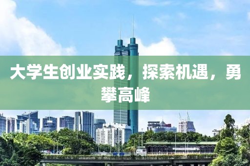 大学生创业实践，探索机遇，勇攀高峰