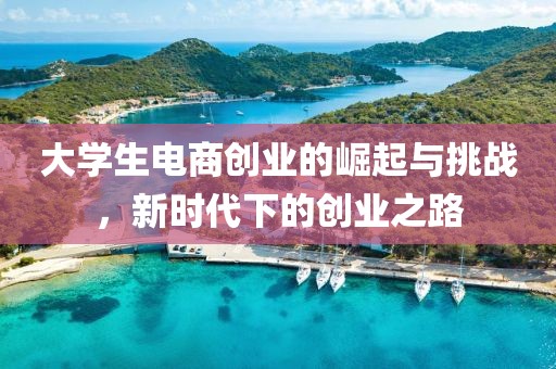 大学生电商创业的崛起与挑战，新时代下的创业之路