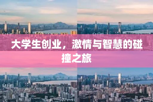 大学生创业，激情与智慧的碰撞之旅