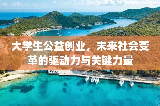 大学生公益创业，未来社会变革的驱动力与关键力量