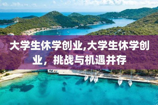 大学生休学创业,大学生休学创业，挑战与机遇并存