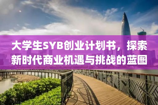 大学生SYB创业计划书，探索新时代商业机遇与挑战的蓝图