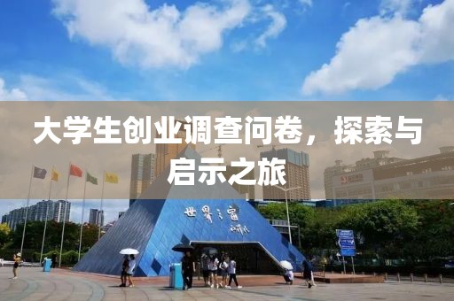 大学生创业调查问卷，探索与启示之旅