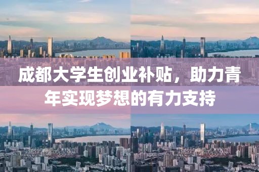 成都大学生创业补贴，助力青年实现梦想的有力支持