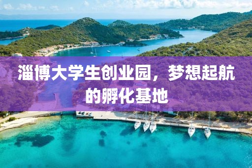 淄博大学生创业园，梦想起航的孵化基地