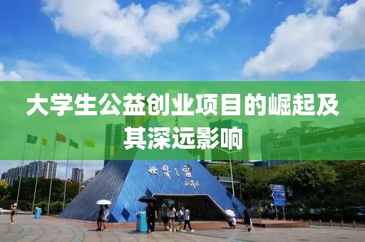 大学生公益创业项目的崛起及其深远影响