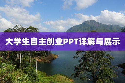 大学生自主创业PPT详解与展示