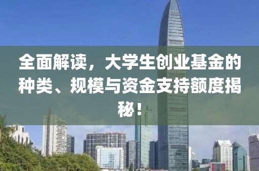 全面解读，大学生创业基金的种类、规模与资金支持额度揭秘！