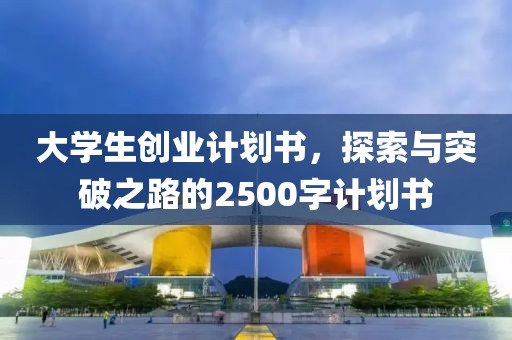 大学生创业计划书，探索与突破之路的2500字计划书