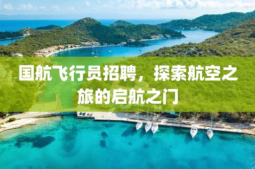 国航飞行员招聘，探索航空之旅的启航之门