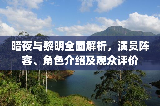 暗夜与黎明全面解析，演员阵容、角色介绍及观众评价