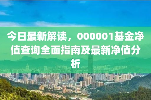 今日最新解读，000001基金净值查询全面指南及最新净值分析