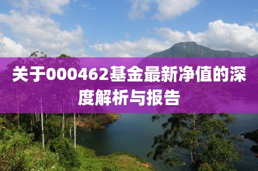 关于000462基金最新净值的深度解析与报告