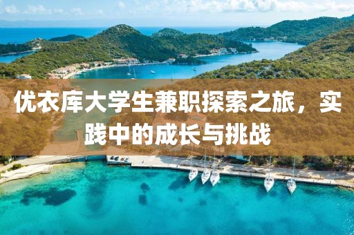 优衣库大学生兼职探索之旅，实践中的成长与挑战