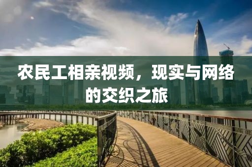 农民工相亲视频，现实与网络的交织之旅