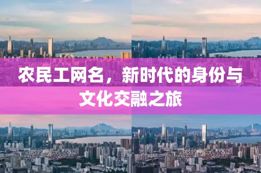 农民工网名，新时代的身份与文化交融之旅