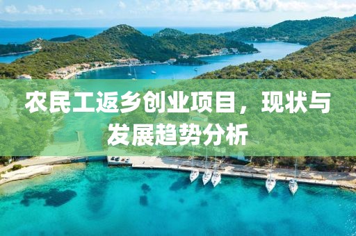 农民工返乡创业项目，现状与发展趋势分析