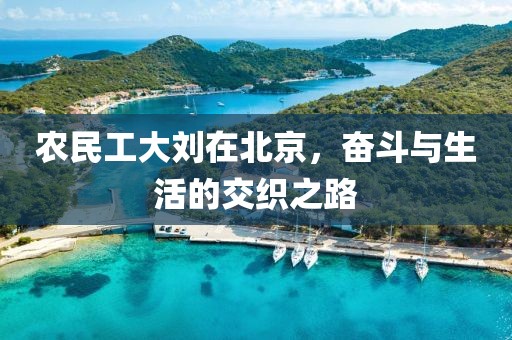 农民工大刘在北京，奋斗与生活的交织之路