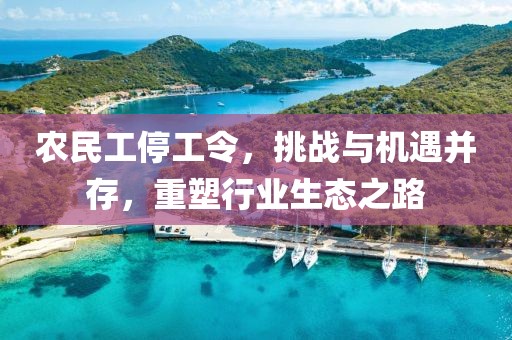 农民工停工令，挑战与机遇并存，重塑行业生态之路